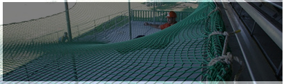 Commercial Pest Control