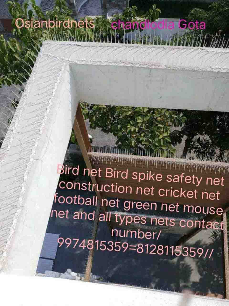 Commercial Pest Control