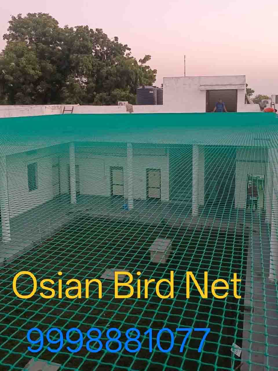 Commercial Pest Control