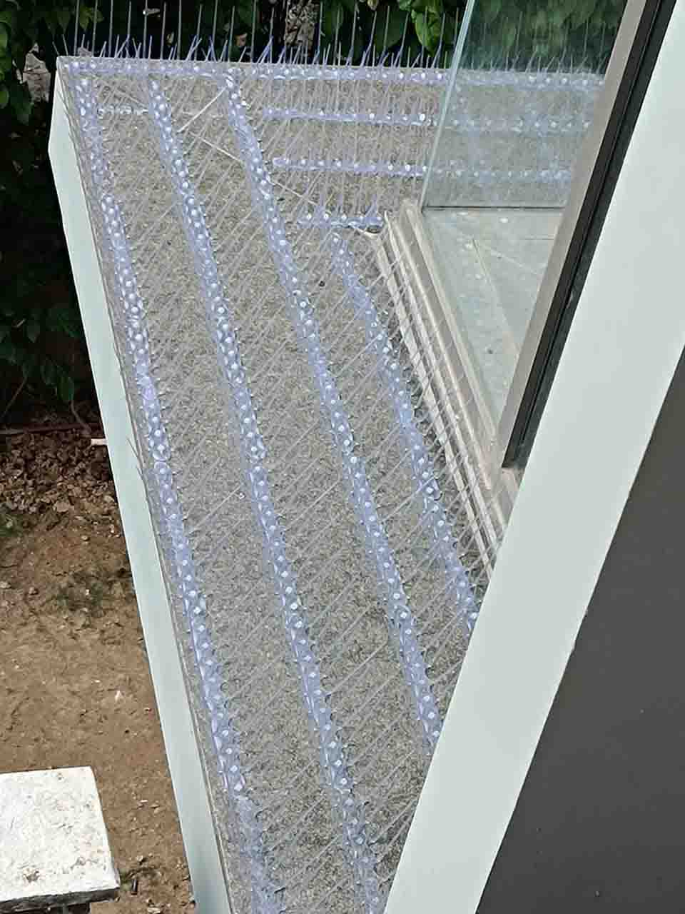 Commercial Pest Control