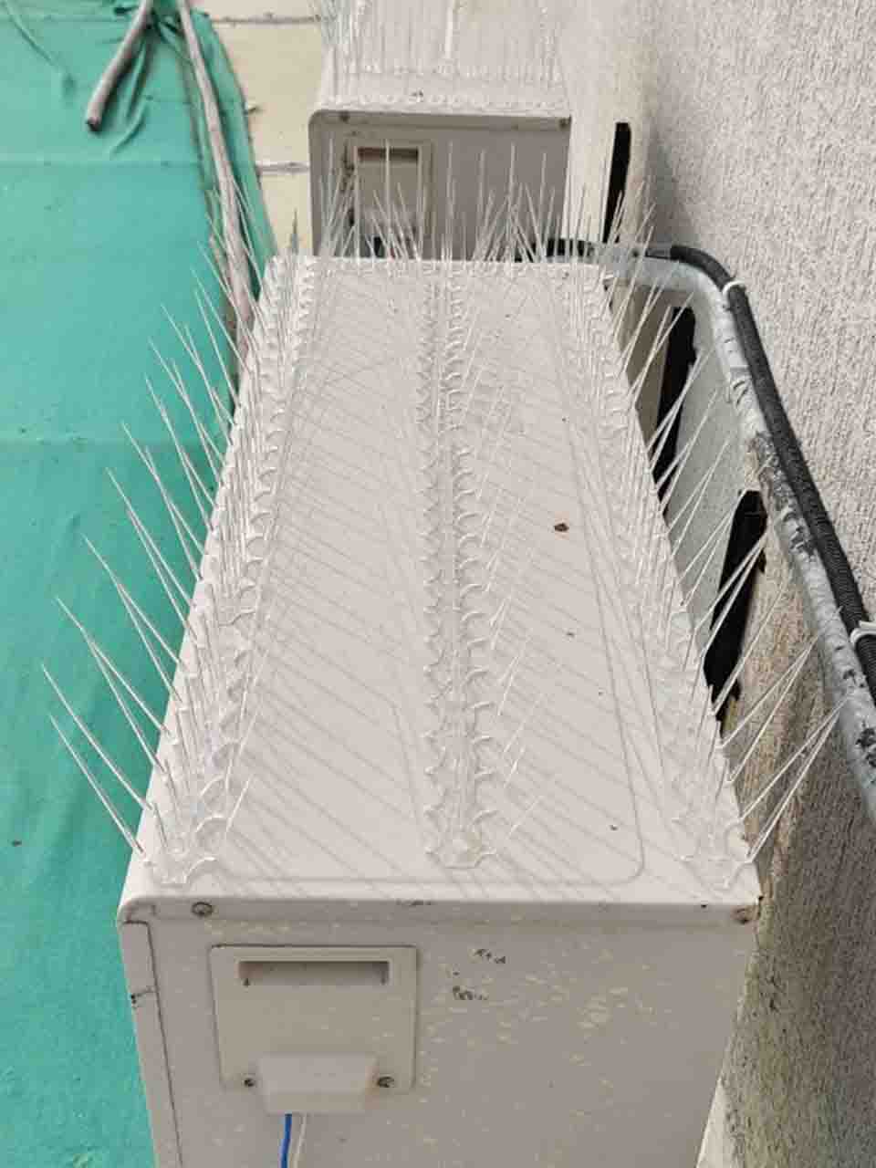 Commercial Pest Control