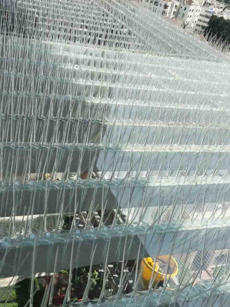 Commercial Pest Control