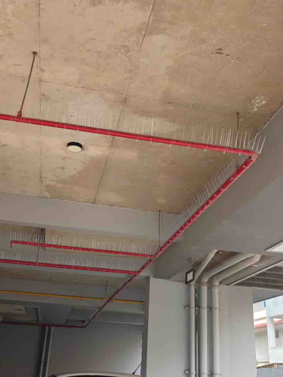 Commercial Pest Control
