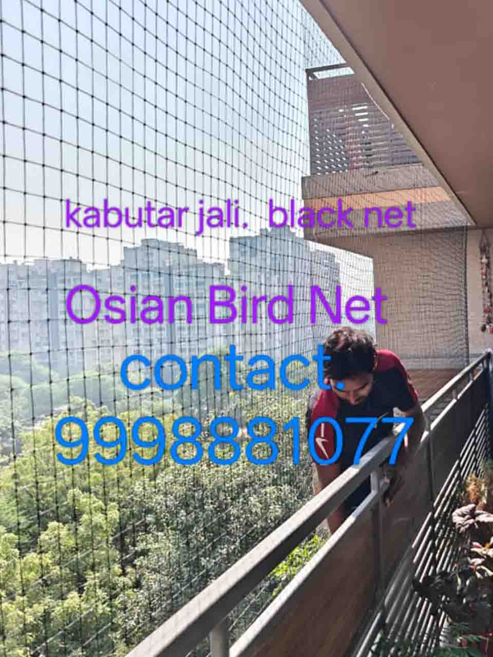 Commercial Pest Control