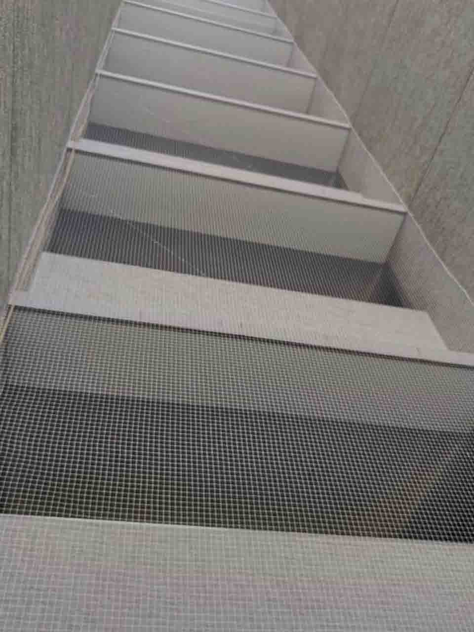 Commercial Pest Control